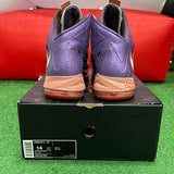 Nike All Star Area 72 LeBron 10s Size 14