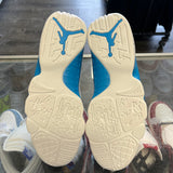 Jordan Powder Blue 9s Size 13