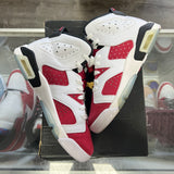 Jordan Carmine 6s Size 5.5Y