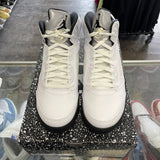 Jordan Reverse Metallic 5s Size 12