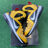 Nike Taxi LeBron 9s Size 11