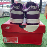 Nike White Viotech Low Dunks Size 13