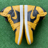 Jordan Pollen 1s Size 11