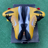 Nike Taxi LeBron 9s Size 11