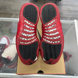 Jordan Cherry 12s Size 8